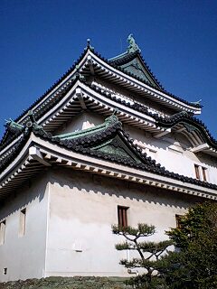 100511_wakayamajyo_1.jpg