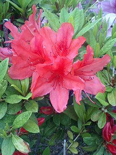 1105011image02.jpg