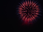 P_1020585.JPG