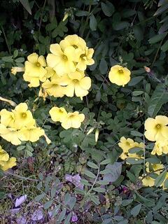 blog110421-1.jpg