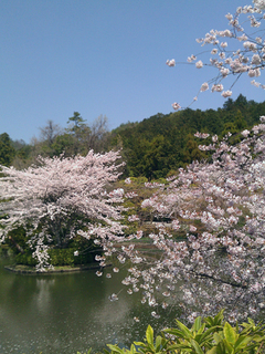 ryoanji_003.jpg